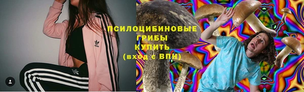 трава Армянск