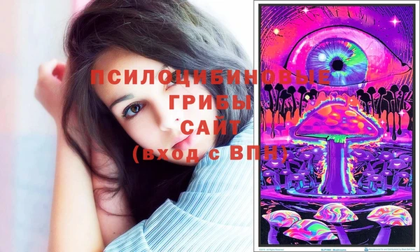 трава Армянск