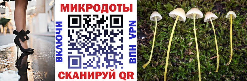 Псилоцибиновые грибы Cubensis как найти наркотики Партизанск